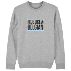 Sweater 'Ride like a Belgian'  (grijs)  L